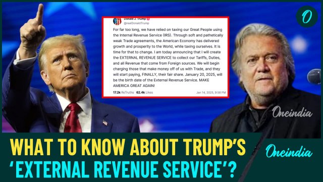 Explained: Why Trump Launching External Revenue Services? Members You Need To Know | Watch