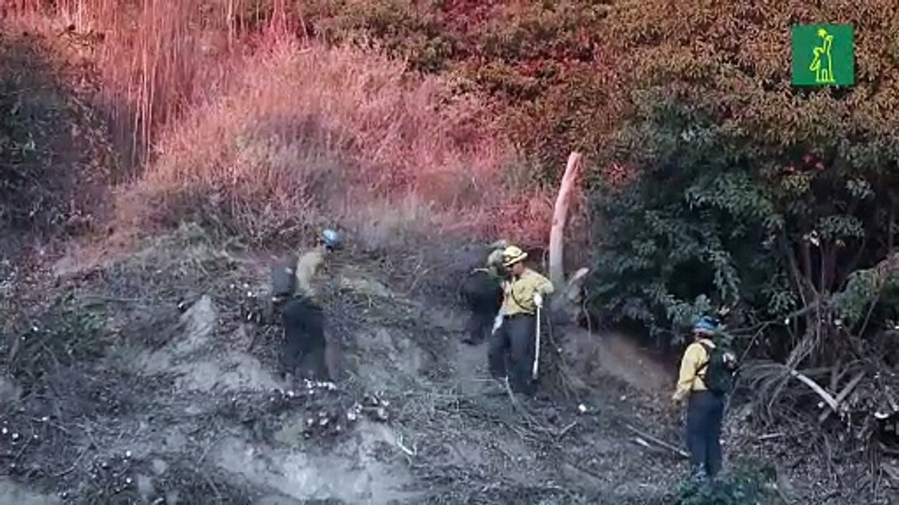 Suben a 25 los muertos por los incendios en Los Ángeles y anuncian arrestos de pirómanos