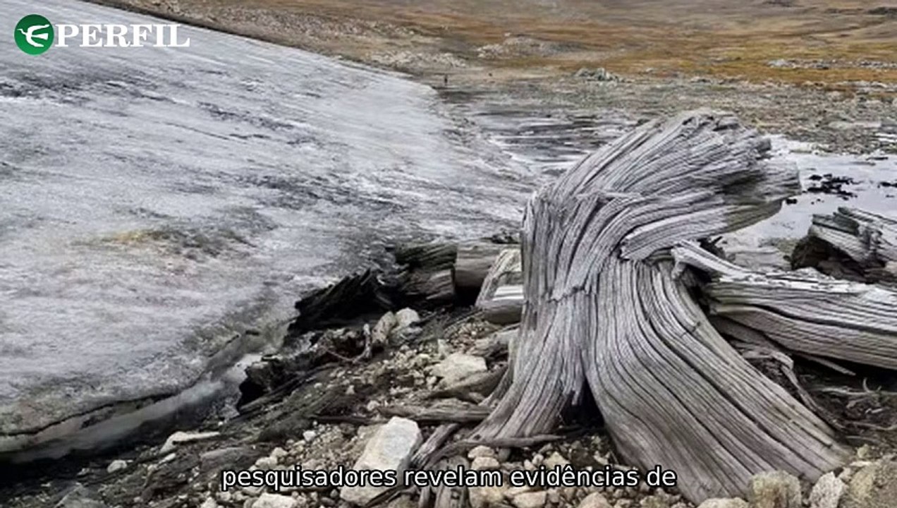 "Descobertas surpreendentes: Geleiras revelam floresta antiga nos EUA, Cuba liberta presos e local bíblico é encontrado na Jordânia."