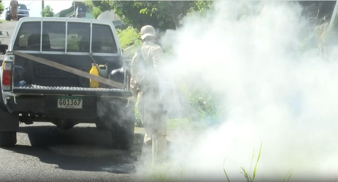 Panamá enfrenta un año histórico en casos de dengue: más de 32,000 infectados y 52 muertes en 2024