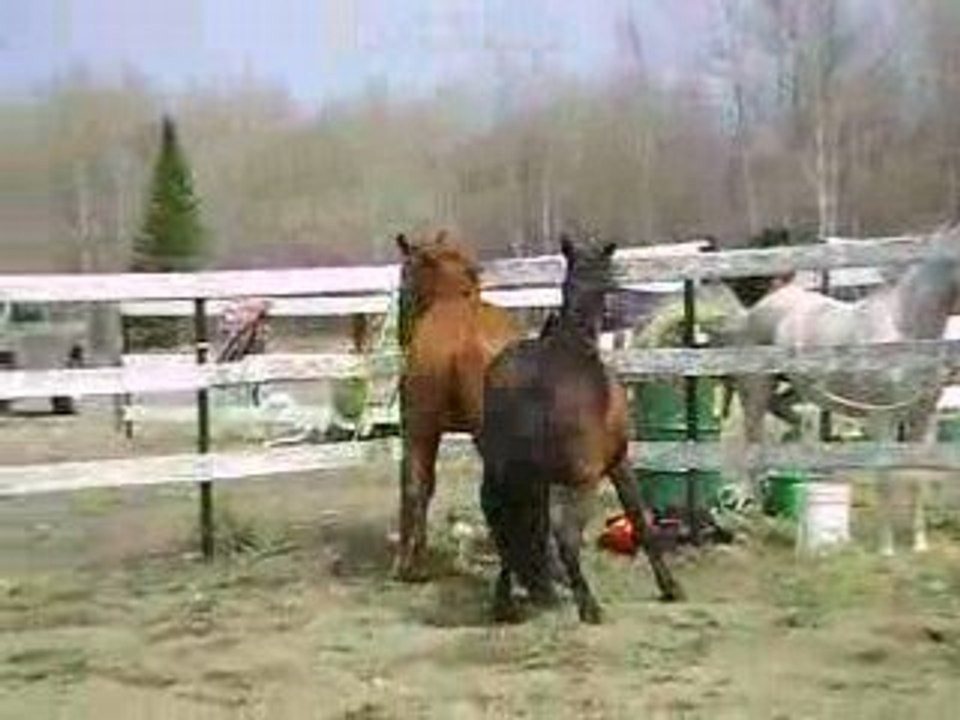 stormy et mimi, première rencontre !