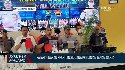 Tanam Ganja, Sarjana Pertanian di Kota Batu Ditangkap Polisi