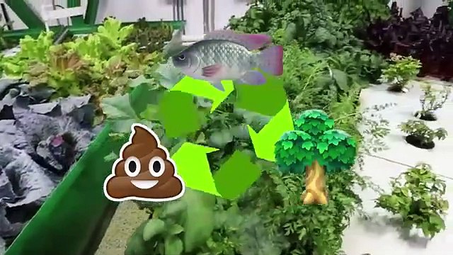 I Spent 24 Hours In A Doomsday Bunker