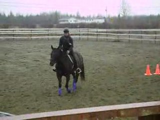 marie-noël et nessy