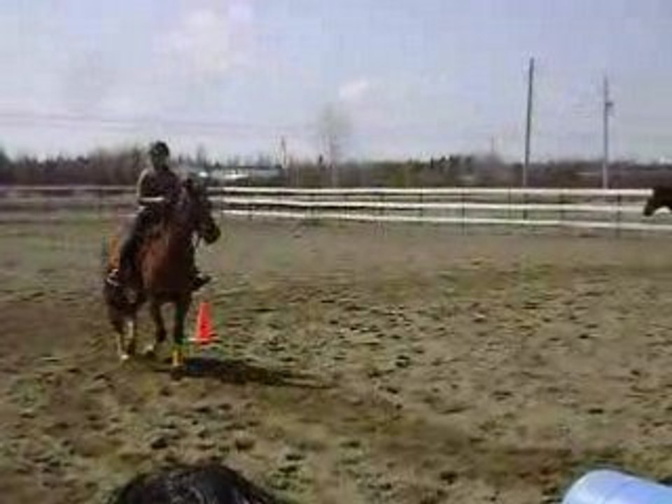 mel et bob au saut