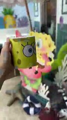 Bob Esponja Surpreende Clientes na Confeitaria Délices de Sucre em Curitiba! 🧽