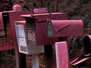 Kampf gegen die Flammen: Darum ist Los Angeles pink