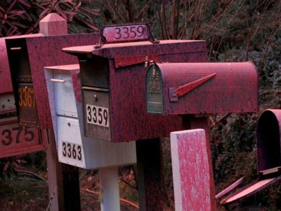 Kampf gegen die Flammen: Darum ist Los Angeles pink