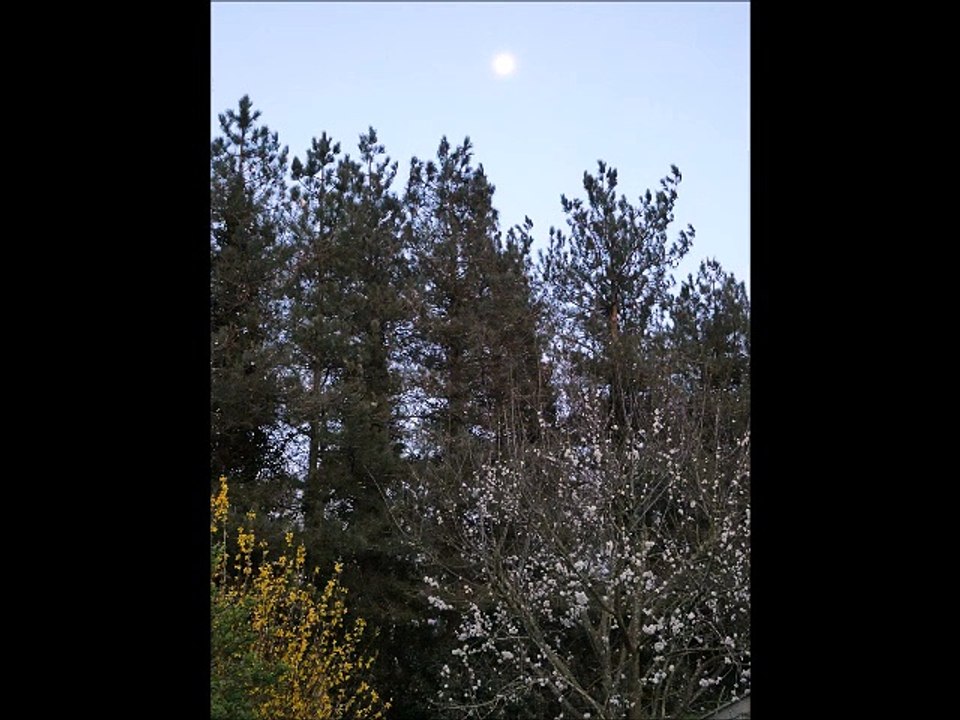 La lune