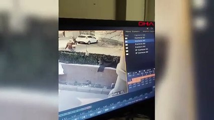 Küçücük çocuğu hırsızlığına alet etti!