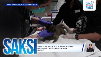 Libreng cuddles mula sa mga pusa, handog na stress reliever ng isang cafe para sa mga apektado ng wildfire | Saksi