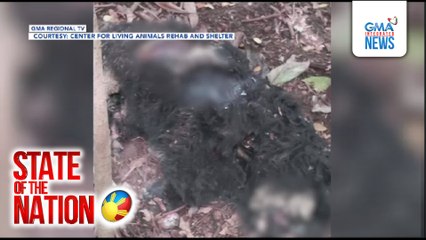 Asong nakitang patay sa Antique, pinaniniwalaang tinaga at binanlian ng mainit na tubig | SONA