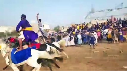 ਮੁਕਤਸਰ ਸਾਹਿਬ ਦੇ ਮਲੋਟ ਰੋਡ ਤੇ ਕਰਵਾਈ ਗਈ ਘੋੜ ਦੌੜ