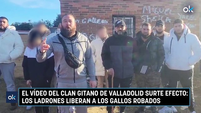 El vídeo del clan gitano de Valladolid surte efecto: los ladrones liberan a los gallos robados