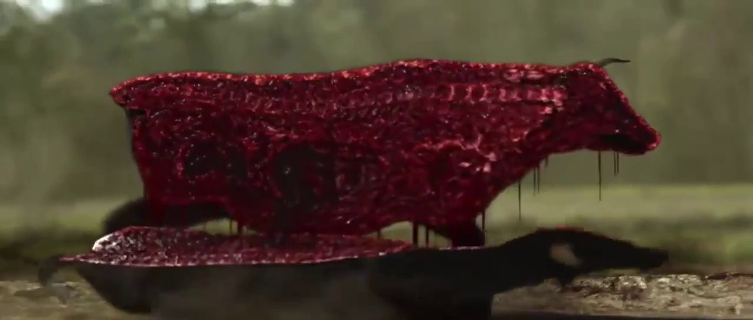 Latest movies, full movies, Hollywood movies, Bollywood movies, action movies, comedy movies, horror