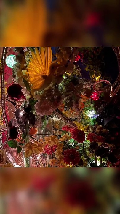 Beeindruckendes Blütenfest 🎉 – Lichter, Farben & Magie! 🌸✨