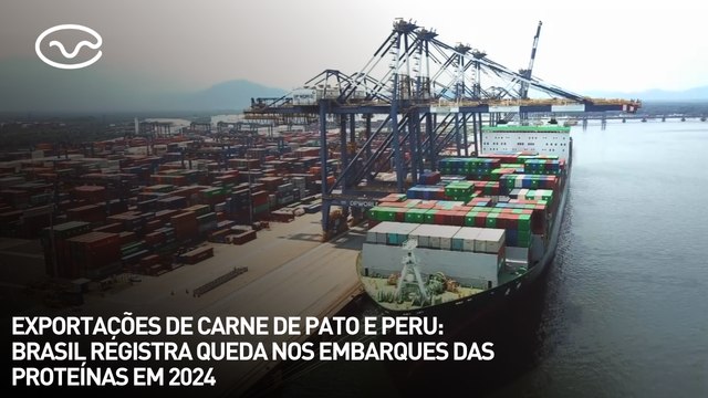 Exportações de carne de pato e peru: Brasil registra queda nos embarques das proteínas em 2024