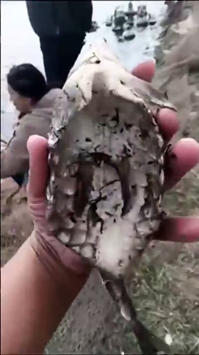 Impressionnant : comment avoir le ventre plat !