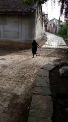 Cette mamie promène son serpent sans laisse