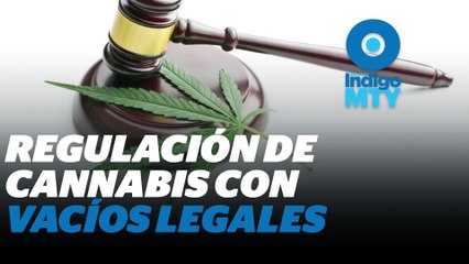 Marihuana legal: ¿negocio sin control? | Reporte Indigo