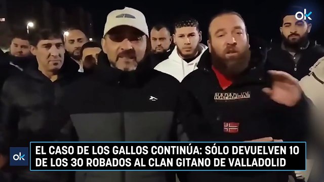 El caso de los gallos continúa: sólo devuelven 10 de los 30 robados al clan gitano de Valladolid