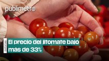 ¡Real! El precio del jitomate bajó más de 33%