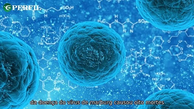 Tragédia na Tanzânia, Mistérios de Terra Indomável e Ilha Fantasma: Notícias Impactantes Reveladas!