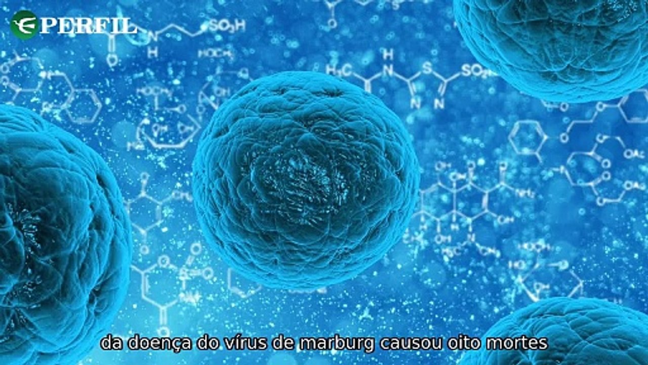 "Tragédia na Tanzânia, Mistérios de Terra Indomável e Ilha Fantasma: Notícias Impactantes Reveladas!"