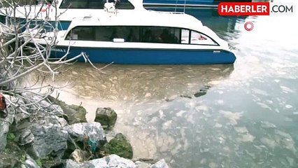 Kadıköy'de deniz yüzeyinde ürküten görüntü