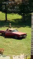 Honking in Quiet Place 🚩: A Spider's Tale