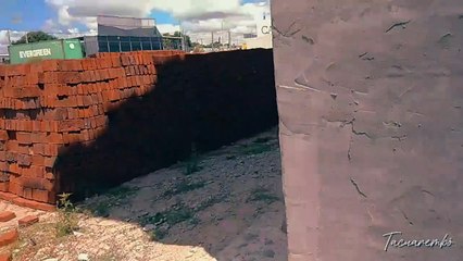 Último sábado de la licencia en la obra - Sereneada (11/01/2025) - COVISOLTAC - Tacuarembó