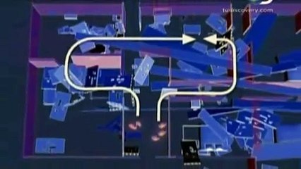 Guia de Supervivencia 09 - Terremoto (español latino)