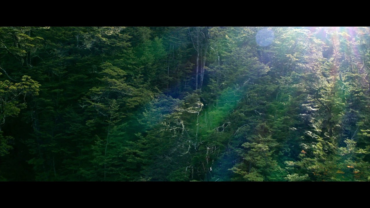 Wolf Man | Official Trailer | 2025
