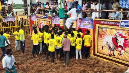 HN_ANI_SURIYUR_VILLAGE_TRICHY_800_BULLS_04-45-42