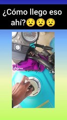 Hombre encuentra una rata en su tanque de gasolina 😱