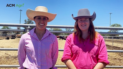 The Land’s Last Lot: what you need to know from weaner sales