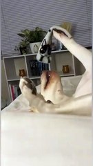 This patient has unusual signs😆