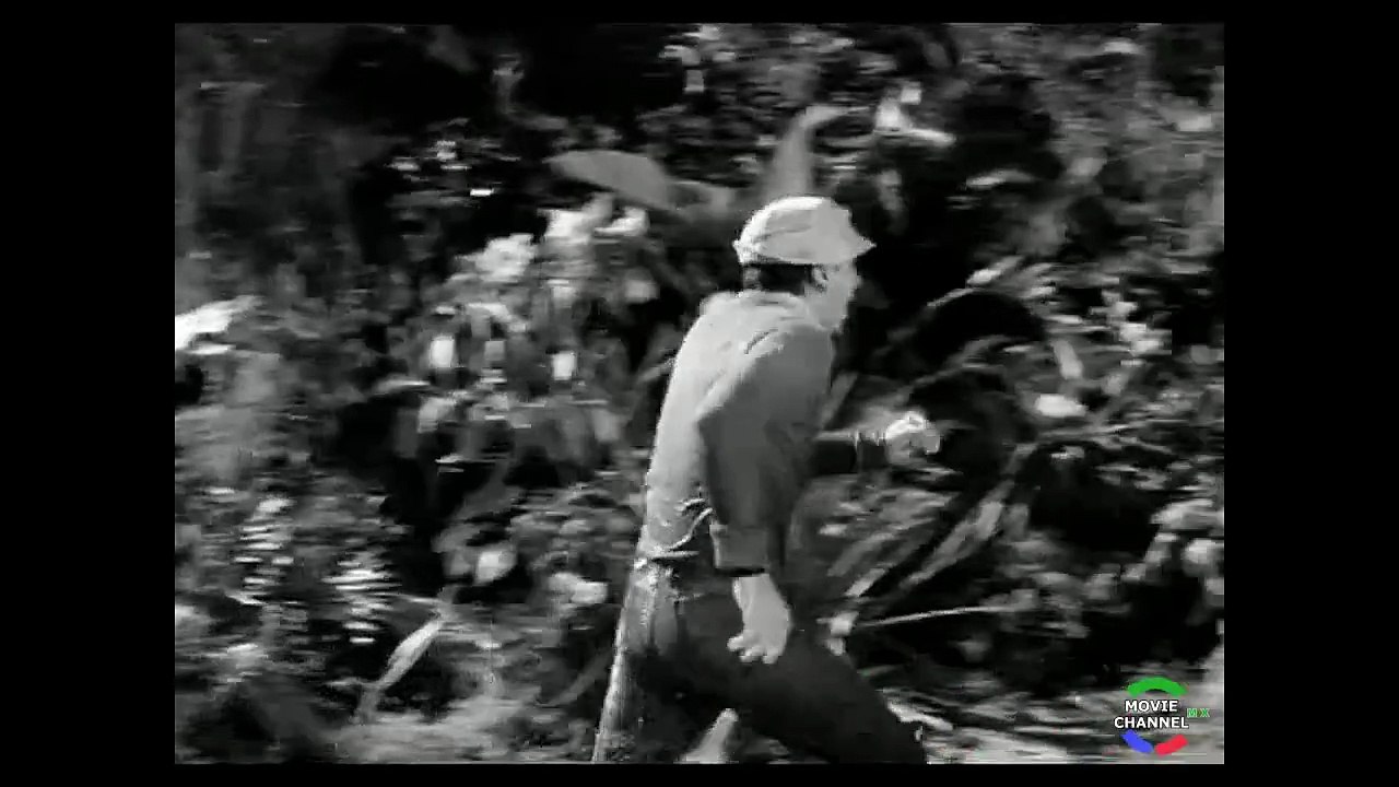 Isla Gilligan 1x15