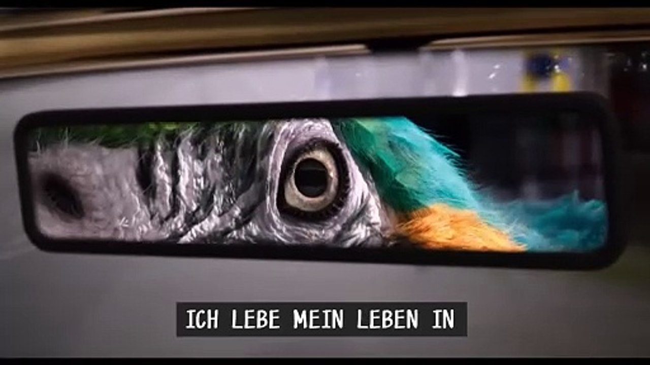 Die fantastische Reise des Dr. Dolittle | movie | 2020 | Official Trailer