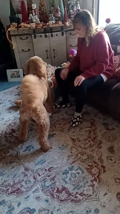 Catch that Fox!