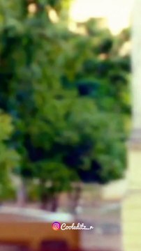 Tamil trending love reels #tamilreels #tamil #tamilspotlight #tamilstatus #tamilsongvibes #tamilreels #tamilsong #tamilsongs #love #crush #romance #romantic #romanticcouples