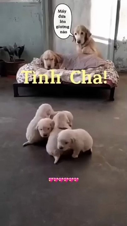 Herzliche väterliche Liebe..