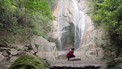 Calm in the Chaos A Forest Camping Experience for Healing