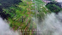 Exhibition of 2024 ISVC Outstanding Works 《Is 5000 Yeas Long-Immortality》
