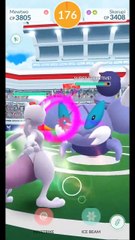 Pokémon GO 224-Skorupi Raid