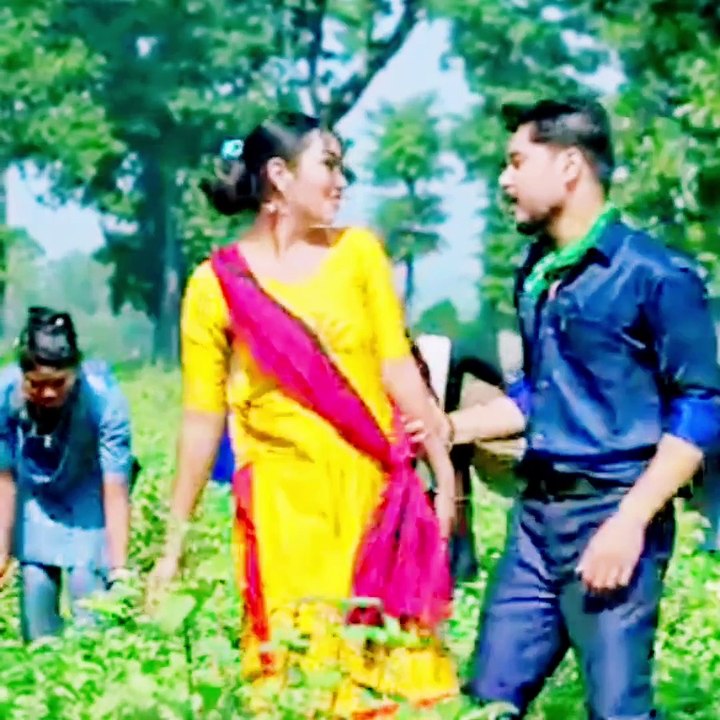 Sajan Mor New bollywood hindi Song & Heart-Touching Tharu Geet & Amazing Music & Beautiful Lyrics & 2025 Best Tharu Hit & Sajan Mor ka Naya Musical Tohfa & Tharu Culture ka Anmol Geet & Abhi Suno aur Enjoy Karo