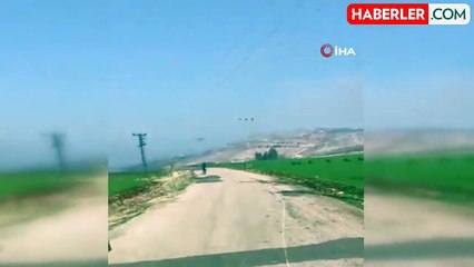 Beceriksiz Avcı Domuz Sürüsüne Ateş Etti, Arkadaşının Dalga Geçmesi Kameraya Yansıdı