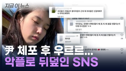 "이제 속이 시원하냐"... 尹 지지자들, 아이유에 악플 테러 [지금이뉴스] / YTN