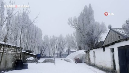 Ağrı'da kış manzarası büyülüyor