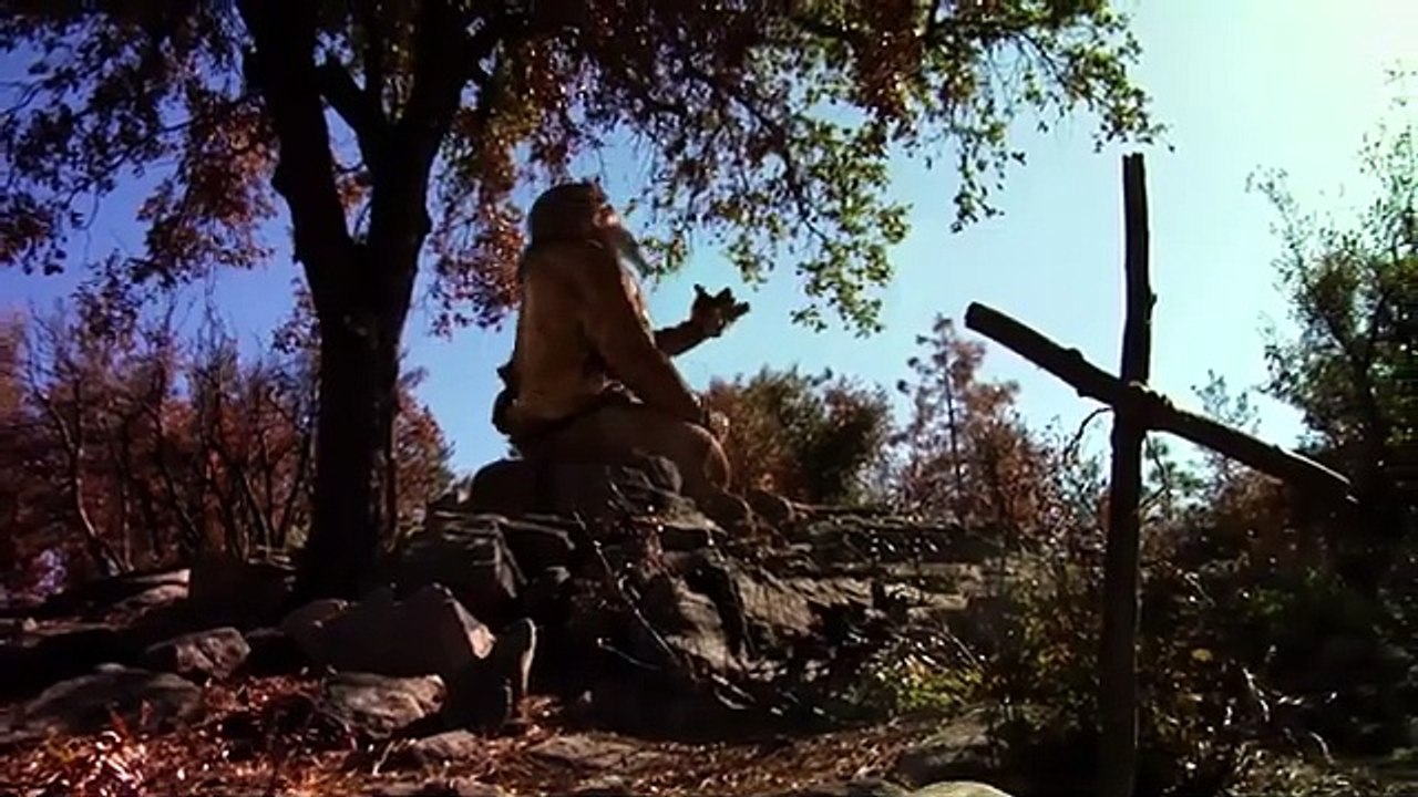 Lost in a Forest of Terror The Survival Nightmare Begins